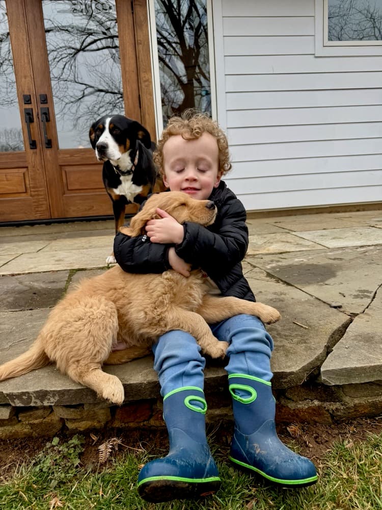 Wyatt hugging Bailey, a Golden Retriever puppy, with Gracie standing behind them