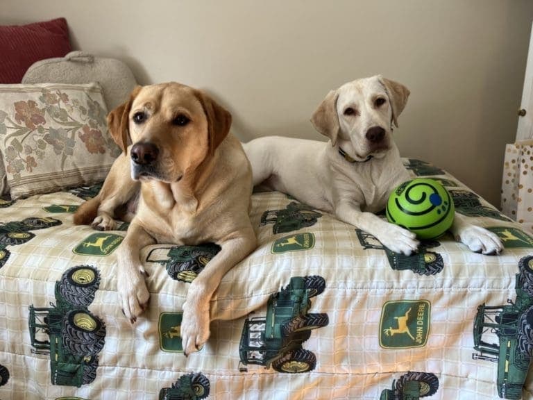 Zeke and Olive